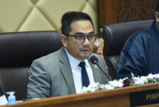 Hanya 4 Provinsi di Indonesia Tidak Bergantung APBN, Ini Daftarnya, Adakah itu Daerahmu?