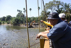 Tunaikan Janji Kampanye, Rifai Perbaiki 35 Jembatan Gantung di Bengkulu Selatan