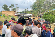 Perjuangan Warga Evakuasi Penambang Emas Timpa Pohon, Korban Ditandu, Jalan kaki 5 Jam Naik Turun Bukit