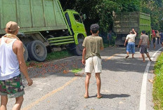 Truk Sawit Terperosok di Tebat Kubu, Pengemudi Diminta Waspadai Jalur Menanjak Manna–Pagar Alam