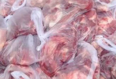 3 Bahaya Kantong Plastik Untuk Wadah Daging Kurban, Dilihat Dari Aspek Kesehatan Hingga Fikih 