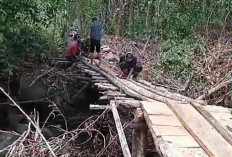 Buka Akses ke Usaha Pertanian, Petani Gotong Royong Bangun Jembatan 