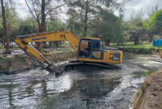 Antisipasi Banjir, Pemkot Fokus Normalisasi Kawasan Konservasi Pantai Panjang dan Danau Dendam