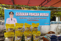 Beras SPHP Tersedia di Kantor Kelurahan, Sudah Bisa Dibeli Masyarakat Kota Bengkulu