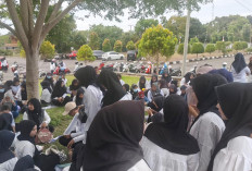 1.875 Honorer Mukomuko Segera Berstatus ASN Paruh Waktu, SK Diserahkan Akhir Desember 2025