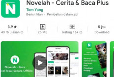 Novelah, Baca Novel Kesukaanmu Dapat Saldo DANA Gratis, Langsung Masuk ke Dompet Digitalmu