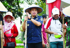 Tanam Pohon Buah Serentak, Pemkot Siapkan 3 Ribu Bibit 