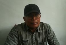 Nyamuk Anopeles Ditemukan di Lebong, Berpotensi Sebarkan Penyakit Malaria pada Masyarakat