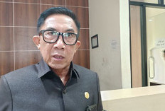 Rohidin Mundur, Golkar Dipimpin Plt, Begini Penjelasan Samsu Amanah