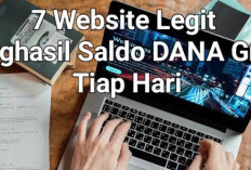 Ingin Penghasilan Setiap Hari, Ayo Manfaatkan 7 Website Ini, Saldo DANA Dijamin Bertambah