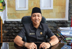 Perbaikan Jalan Desa di Bengkulu Selatan, NasDem Siapkan Program Aspirasi DPR RI