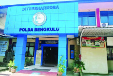 Pengedar 1 Kg Sabu Ditangkap, Ini Keterangan  Direktur Reserse Narkoba Polda Bengkul