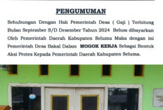 4 Bulan Tak Gajian, Kades dan Perangkat Desa Bakal Dalam Seluma Mogok Kerja, Begini Pengakuannya