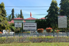  Bantuan Nelayan di Mukomuko Ditunda