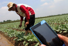 Petani dan Nelayan Harus Melek Teknologi, Ini Langkah yang Dilakukan Pemprov Bengkulu