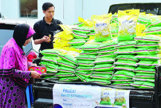 Pasokan Beras di Provinsi Bengkulu Tersedia 7.800 Ton, Cukup untuk 2 Minggu Kedepan