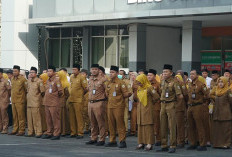 388 ASN Pemprov Bengkulu Pensiun Tahun Ini, Begini Penjelasan BKD 