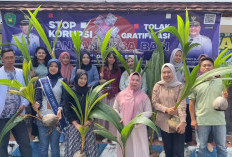 6.000 Bibit Kelapa Terkumpul, Jelang Pelaksanaan Gempala di Kota Bengkulu