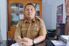  102 Desa di Bengkulu Utara Tidak   Terima DD Tahap II Non Earmark, Segini Jumlahnya 