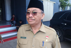Pemprov Bengkulu Siapkan 2 Opsi Lahan Investor di Kawasan Industri Pulau Baai
