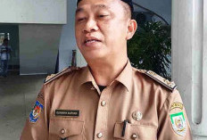 Pemberhentian Honorer Kewenangan OPD, Begini Penjelasan BKD Provinsi Bengkulu