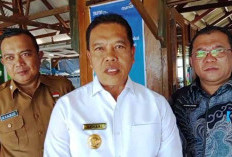  13 Jembatan Gantung di Lebong Rusak, 3 Bakal Diperbaiki Bersama TNI