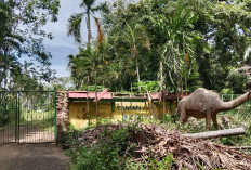 Kondisi Terkini Taman Remaja Kota Bengkulu, Menanti Sentuhan Perubahan