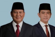 Dilantik 20 Oktober, Kementerian Prabowo-Gibran Gemuk, Berikut Daftarnya