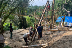Tiang Pylon Berdiri, Harapan Baru   Warga Pino Baru Mulai Terhubung