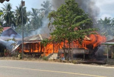 Si Jago Merah Mengamuk di Mukomuko, 4 Rumah Terbakar, Diduga Ini Penyebabnya