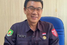 Target Investasi di Provinsi Bengkulu Masih Jauh, Triwulan Dua Rp901 Miliar