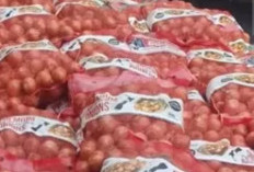 Bea Cukai Gagalkan Penyelundupan 30 Ton Bawang Bombai Senilai Rp 768 Juta Di Pontianak 