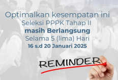 Pendaftaran PPPK Diperpanjang Lagi Hingga 20 Januari, Begini Penjelasan Menpan RB 