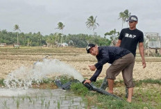 Irigasi Pompa di Mukomuko Selesai Dibangun, 40 Ha Sawah Terairi, Ini Titiknya