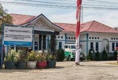Mukomuko Darurat Kekerasan Anak, Baru 4 Bulan Berjalan, Sudah 10 Kasus Terungkap