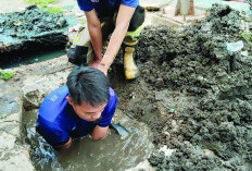 Dinas PUPR Benahi Drainase Depan Solaria Bengkulu, Respon Laporan Warga Timbulkan Bau Tak Sedap