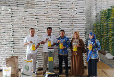 Bulog Pastikan Stok Siap, Penyaluran Banpang Beras dan Minyak di Bengkulu Utara Dimulai 