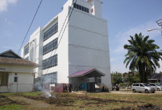 Perpusda BS Terus Berbenah, Genjot Layanan dan Kebersihan