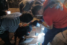 Damkar Bantu Evakuasi Handphone Jatuh ke Gorong-gorong