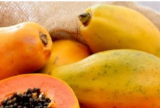 Perlancar BAB Secara Alami, Konsumsi Buah Ini