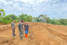 Ratusan Hektar Lahan jadi Sawah Baru, Program Pemerintah RI CSR