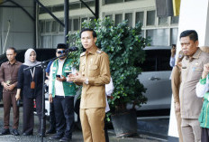 Cegah Kebakaran, Bupati Kaur Minta   Warga Tingkatkan Kewaspadaan