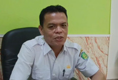  Pemberkasan Calon PPPK   di Benteng Dideadline Tanggal Ini 