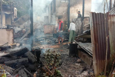 2 Unit Rumah Warga di Sido Luhur  Hangus Terbakar, Diduga Ini Pemicunya