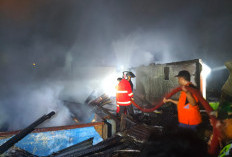 6 Rumah di Rejang Lebong Terbakar, Kerugian Capai Rp 600 Juta