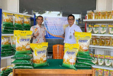 Tahun 2026 Stok   Pangan Melimpah