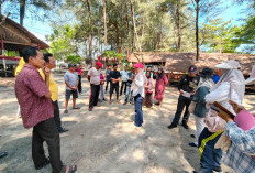 Penataan Pantai Panjang Diwarnai Pro-Kontra, Pedagang Minta Solusi Nyata di Tengah Penertiban
