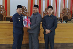 Bupati Arie Minta Dewan Dukung Penuh dan Berikan Masukan RPJMD BU 2025-2029