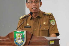 Kebijakan WFH ASN Pemprov Bengkulu Berlanjut, Nandar Munadi Sebut Arahan dari Pusat