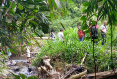 GEGER, Mayat Mr X Membusuk Ditemukan Mengapung di Aliran Sungai Ketapang